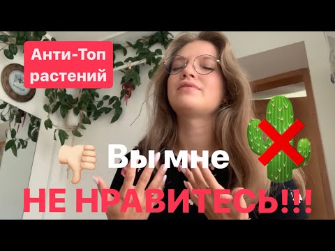Видео: ❌ АНТИвишлист растений 🤮 | 5 растений, которых у меня нет и не будет дома 🏠