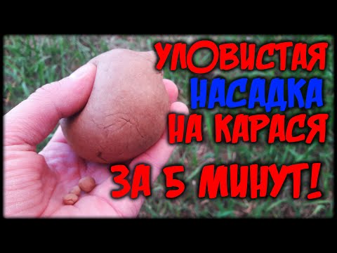 Видео: ЛОВИ ВСЕГДА И ВЕЗДЕ! ПО Холодной Воде всю Осень Карася Карпа Леща. На что ловить рыбу Осенью.