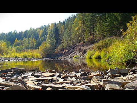 Видео: Журчание реки.  Доманик. Республика Коми.