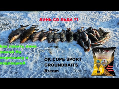 Видео: ЛИНЬ СО ЛЬДА ?? kак ловить линя зимой Ha мормышку и подлещикA в глухозимье и как искать окуня зимой