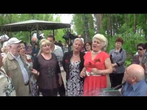 Видео: Липецкая гармонь на празднике победы в Парке победы 9 05 16 года.Видео Ланских