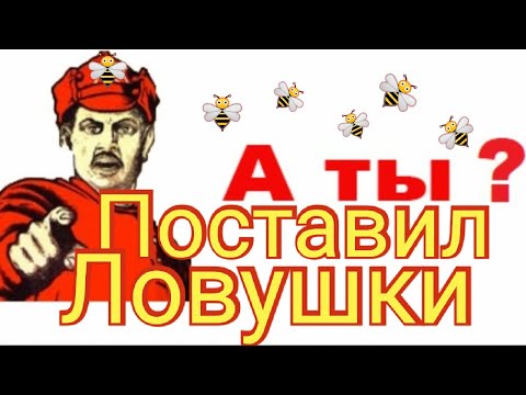 Видео: Роеловство 2021 г.🐝 Лучшие ловушки для роев!!!