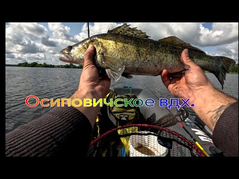 Видео: Рыбалка на Осиповичском водохранилище!