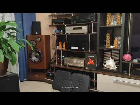 Видео: Denafrips PONTUS 15th R2R + Акустический Audioquest WEL cable (China) + i2s FireBird 48 HDMI  (7)