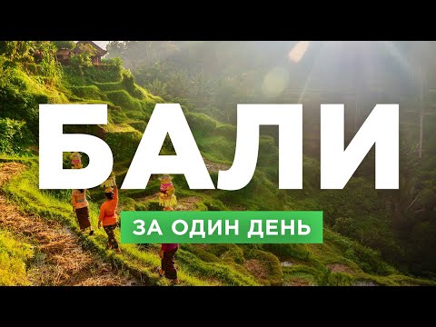 Видео: Бали: что посмотреть за один день