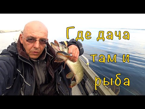 Видео: ЩУКА рядом с ДОМОМ. И не надо ни куда ездить.