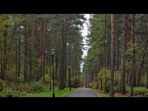 Видео: Томская Писаница. Музей заповедник.