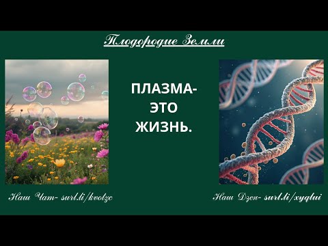 Видео: Жизнь в почве создается плазмой микробов №852/25