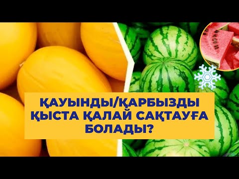 Видео: 🍉ҚАУЫНДЫ/ҚАРБЫЗДЫ ҚЫСТА ҚАЛАЙ САҚТАУҒА БОЛАДЫ? #қауын #қарбыс #жемістер