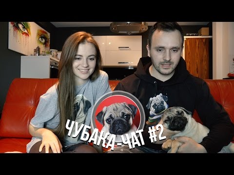 Видео: ЧубакаЧат #2. Ответы на вопросы подписчиков