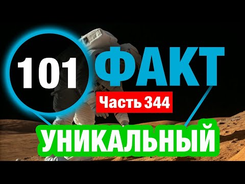 Видео: 101 Невиданный Факт Который Сделает Вас Умнее