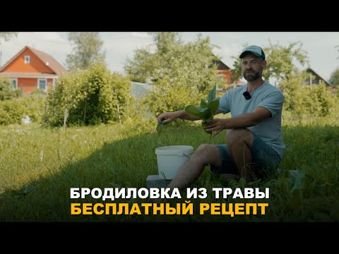 Видео: БЕСПЛАТНОЕ УДОБРЕНИЕ ДЛЯ ОГОРОДА И САДА. Мой рецепт бродиловки из травы.