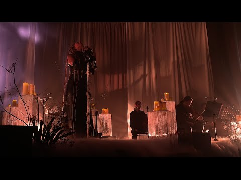 Видео: Тело-храм - Рита Дакота (акустика, live) 29.10.2023