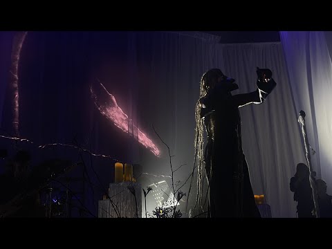 Видео: Стаи китов - Рита Дакота (акустика, live) 29.10.2023