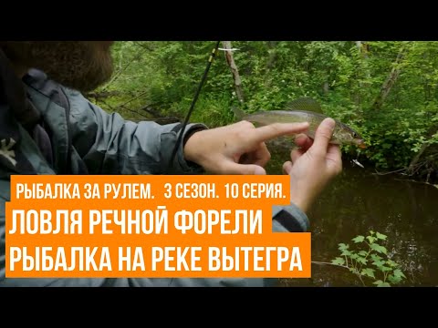 Видео: Ловля речной форели \ Рыбалка на реке Вытегра \ Рыбалка за рулем \ 3 сезон