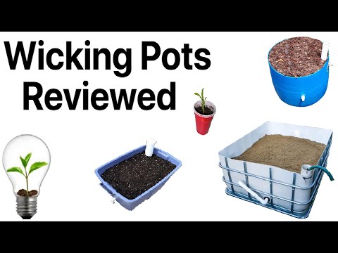 Видео: Обзор 6 фитильных горшков