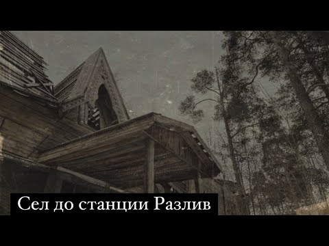 Видео: Нелёгкая судьба дач под Сестрорецком