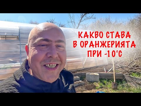 Видео: Колко ЗАТОПЛЯ една оранжерия от поликарбонат в студеното време?