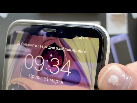 Видео: Дали связь на Байконур! (XR нет сети)