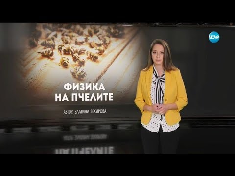 Видео: Темата на NOVA: „Физика на пчелите“ (23.06.2019)