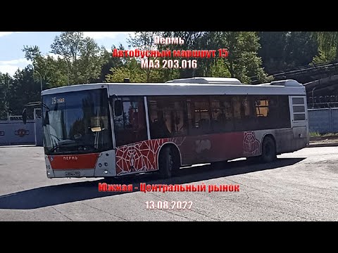Видео: Пермь | Автобусный маршрут 15 | МАЗ 203.016 | Южная - Центральный рынок | 13.08.2022