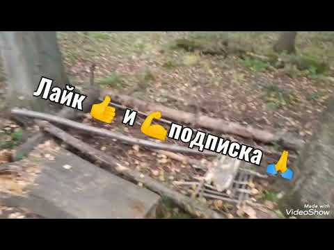 Видео: Бушкрафт выживания в поисках еды