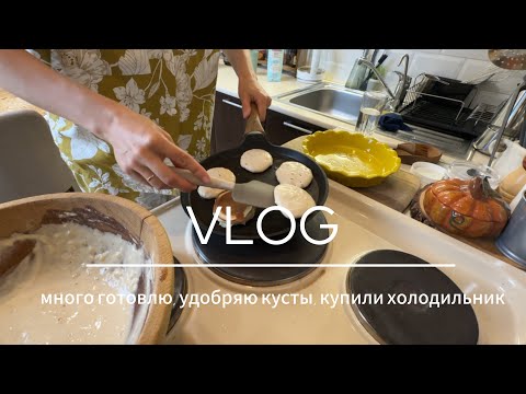 Видео: СУПЕР ПОЛЕЗНЫЕ оладьи без сахара, собираемся в школу. Работаем на даче