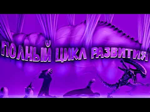 Видео: От яйца до королевы: Тайны Жизненного Цикла Ксеноморфов