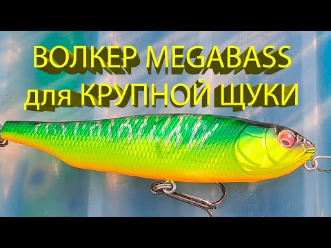 Видео: 🔥 Знакомство с волкером Megabass Giant Dog-X. Сразу клюнула ТРОФЕЙНАЯ ЩУКА, но ЧТО-ТО ПОШЛО НЕ ТАК 🔥