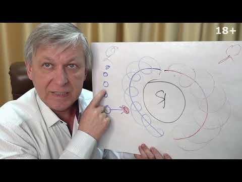 Видео: Саморазвитие Запрет на создание благополучной семьи