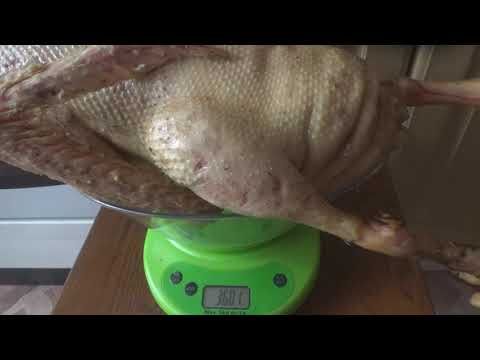 Видео: Сравниваем мясо петуха, утки, индоутки и гуся