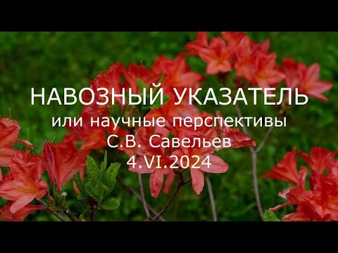 Видео: С.В. Савельев - Навозный указатель