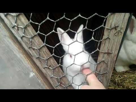 Видео: Відео від нашого підписчика Валіка Цимбалюка