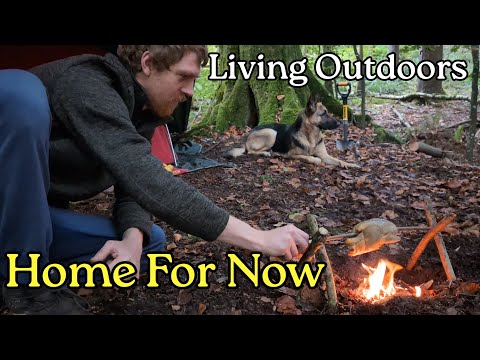 Видео: Временный дом в изолированном лесу