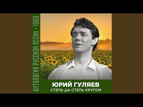 Видео: Степь да степь кругом (Концертная запись)
