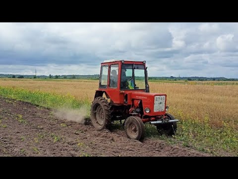 Видео: Усі молотять, а ми орем! Т25 із саморобним плугом!