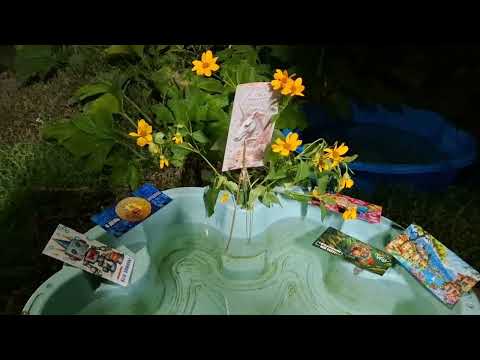 Видео: Чиска от порч через сообщения,звонки,смс, интернет,и от информационных блоков, искажения информации!