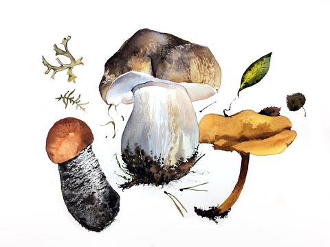 Видео: Мастер-класс по скетчингу «Грибное семейство» | Как нарисовать гриб поэтапно