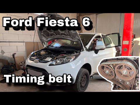 Видео: Ford Fiesta 1.25 Замена ремня ГРМ + водяного насоса
