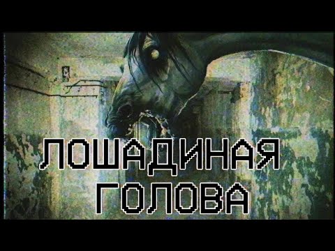 Видео: Страшные истории - Лошадиная голова