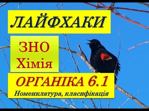 Видео: ЛАЙФХАКИ ДЛЯ ЗНО ХІМІЯ | ПЕРШЕ ЗАНЯТТЯ  | НОМЕНКЛАТУРА ОРГАНІЧНИХ СПОЛУК | АЛКАНИ | ВУГЛЕВОДНІ