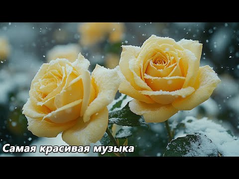 Видео: Сборник лучших мелодий, от которых мурашки по коже🌿Лучшая музыка в мире🌿Музыка Сергея Грищука #4