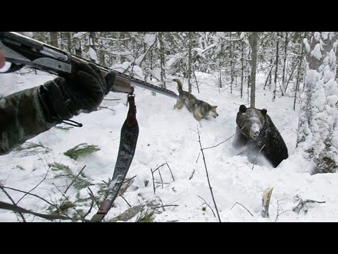 Видео: 💥/ТАЕЖНАЯ ДРАМА/  ПЕС не смог простить предательства человека/