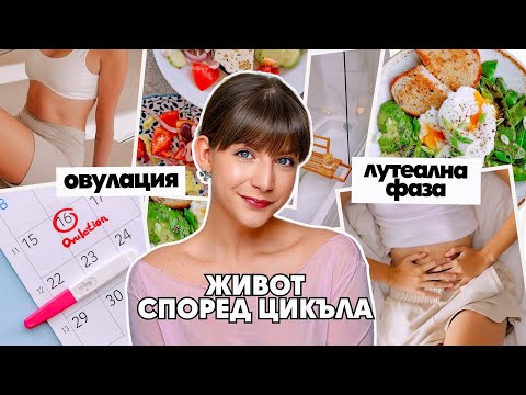 Видео: Живот Според Цикъла | Хранене, Спорт и Работа