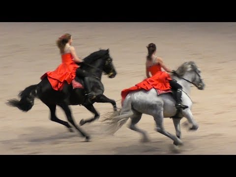 Видео: АНДАЛУЗЫ: танец, выездка, галоп! #ИППОсфера 2019 Андалузская порода лошадей Andalusian horse P.R.E