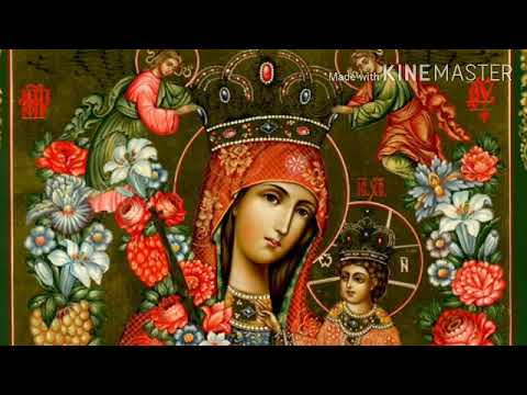 Видео: Акафист Пресвятой Богородице пред иконой «Благоуханный Цвет» 28.11