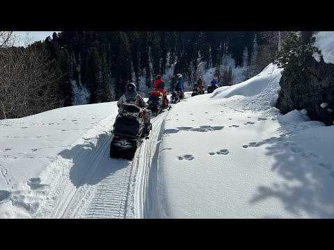 Видео: На снегоходах по горам Алтая. Зимний Алтай.