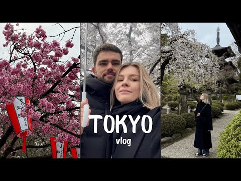 Видео: ТОКИО ВЛОГ🌸 Наш первый раз в Японии: сакура, Shibuya Sky, омакасе