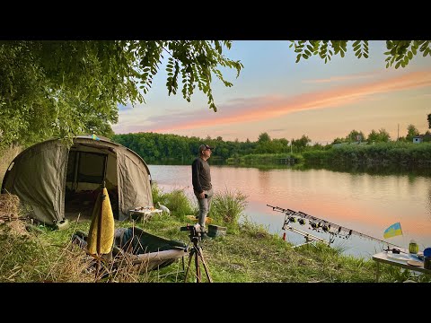Видео: Ловля коропа в затоці повній риби! Мощні сазани крадуть палки. Неочікуваний початок і кінець