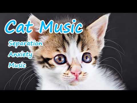 Видео: 3 ЧАСА глубокого сна, успокаивающая кошачья музыка🎵🐱Музыка против разлуки и тревоги🎵Кошачья музыка💖